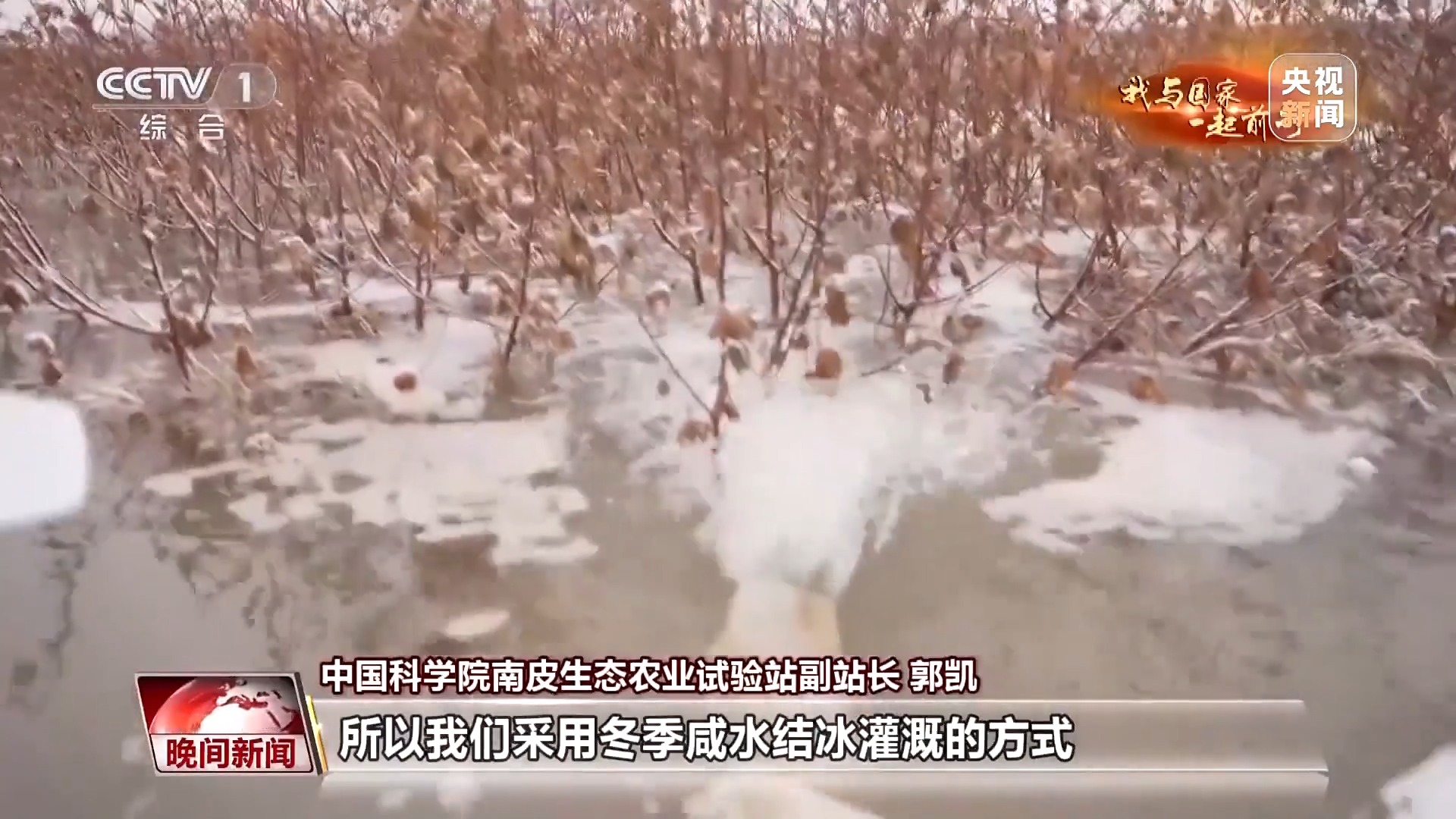 我与国家一起前行丨藏粮于技 丰产丰收的中国“粮”方