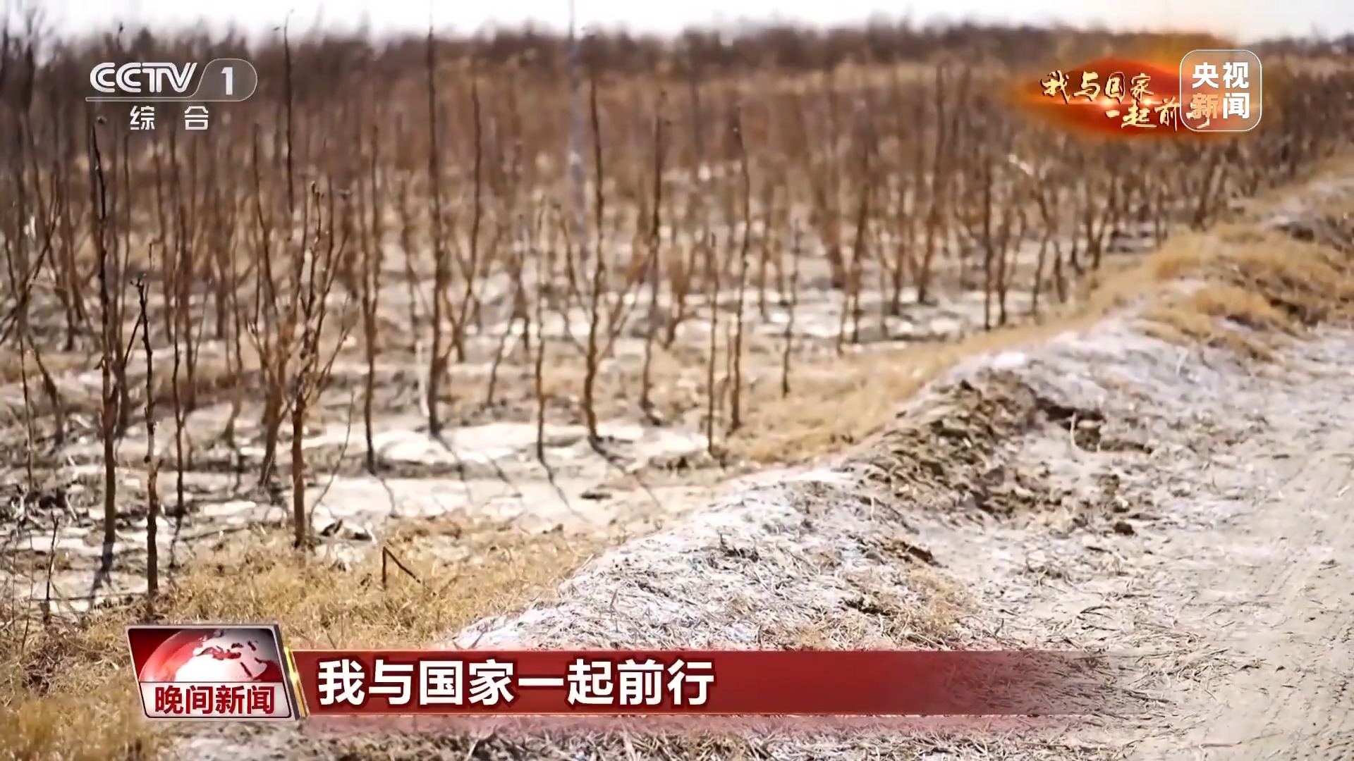 我与国家一起前行丨藏粮于技 丰产丰收的中国“粮”方