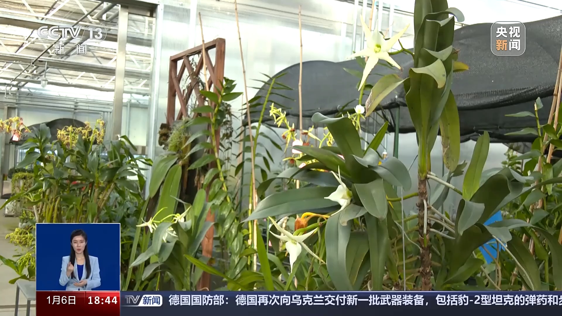 一问到底丨国家植物园批复设立满两年 成绩单来啦!