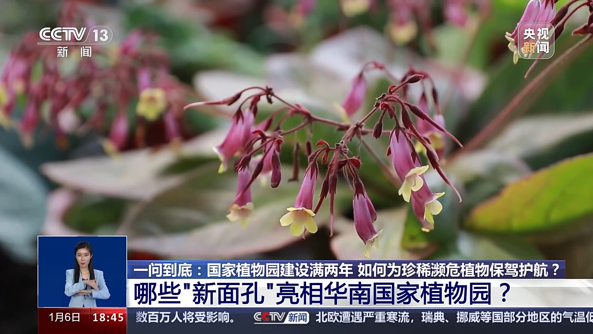 一问到底丨国家植物园批复设立满两年 成绩单来啦!