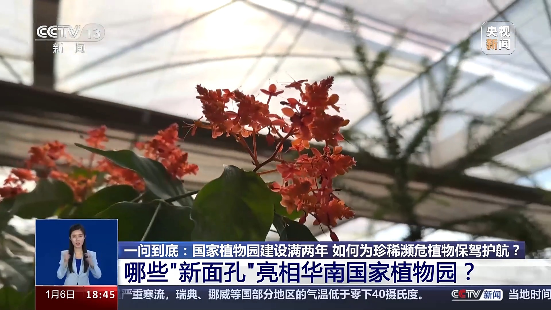 一问到底丨国家植物园批复设立满两年 成绩单来啦!