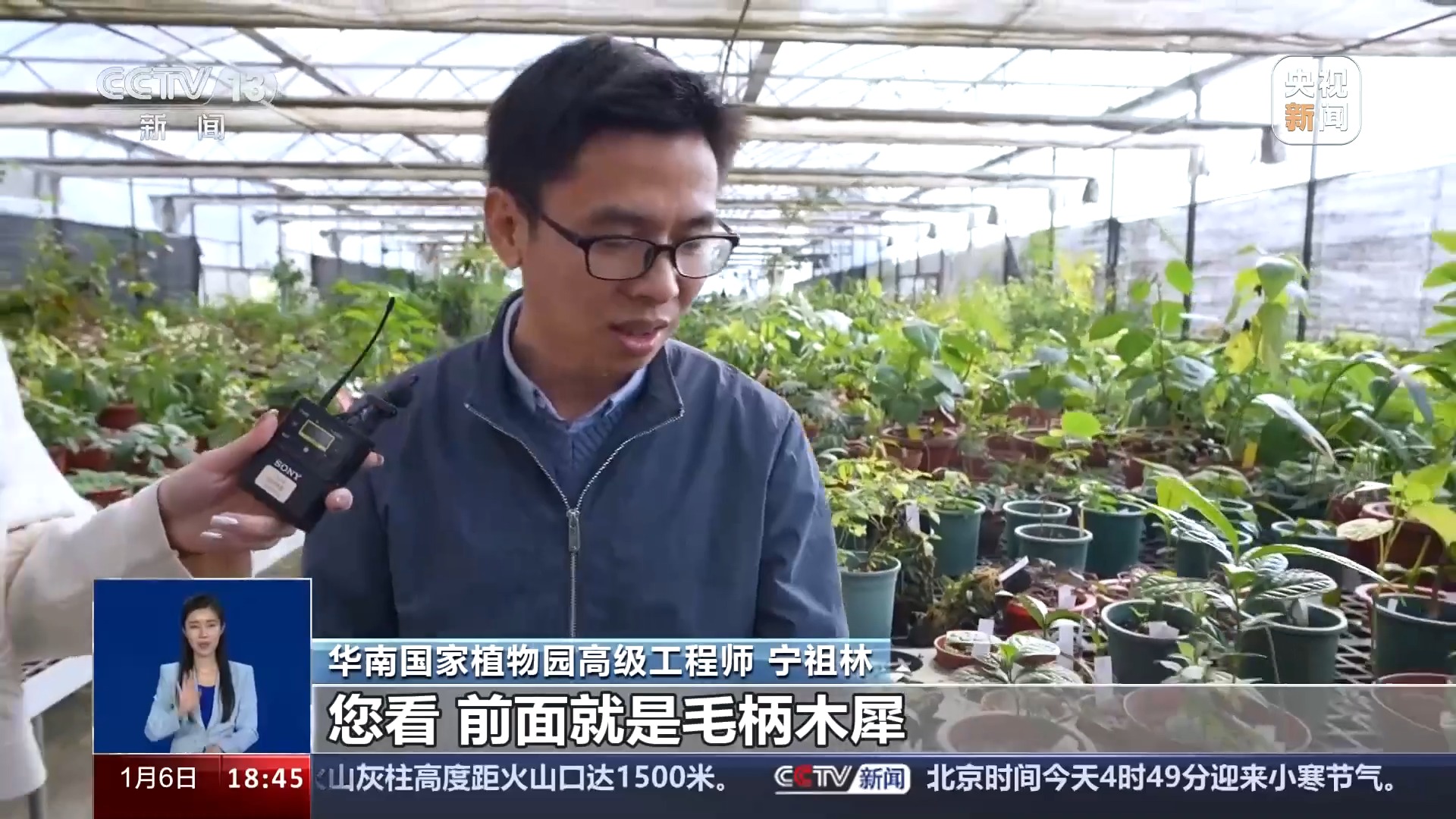 一问到底丨国家植物园批复设立满两年 成绩单来啦!