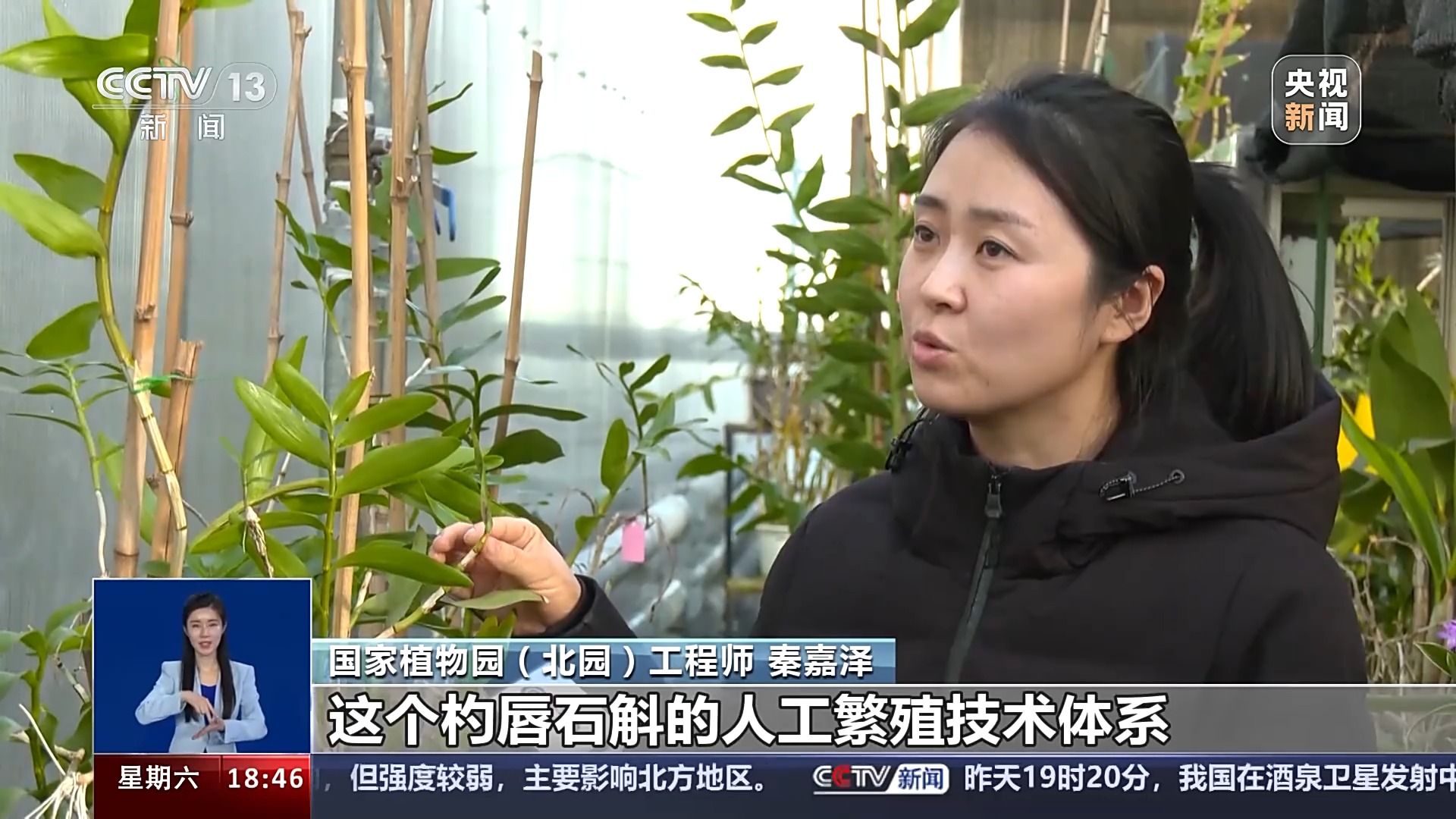 一问到底丨国家植物园批复设立满两年 成绩单来啦!