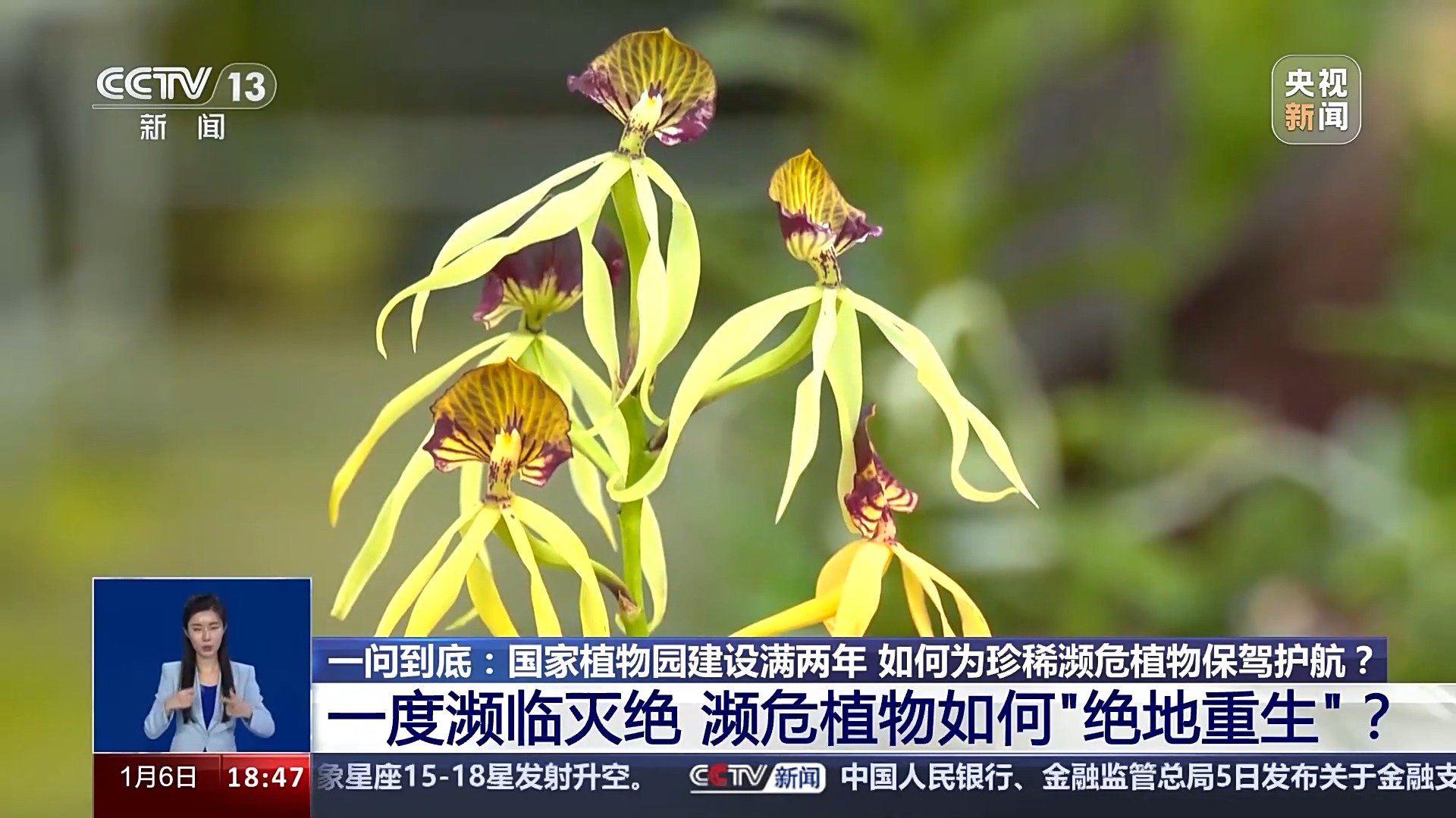 一问到底丨国家植物园批复设立满两年 成绩单来啦!
