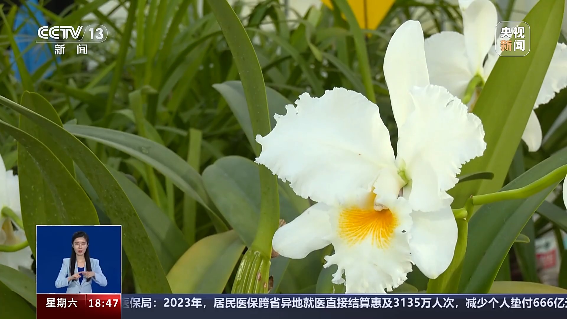 一问到底丨国家植物园批复设立满两年 成绩单来啦!