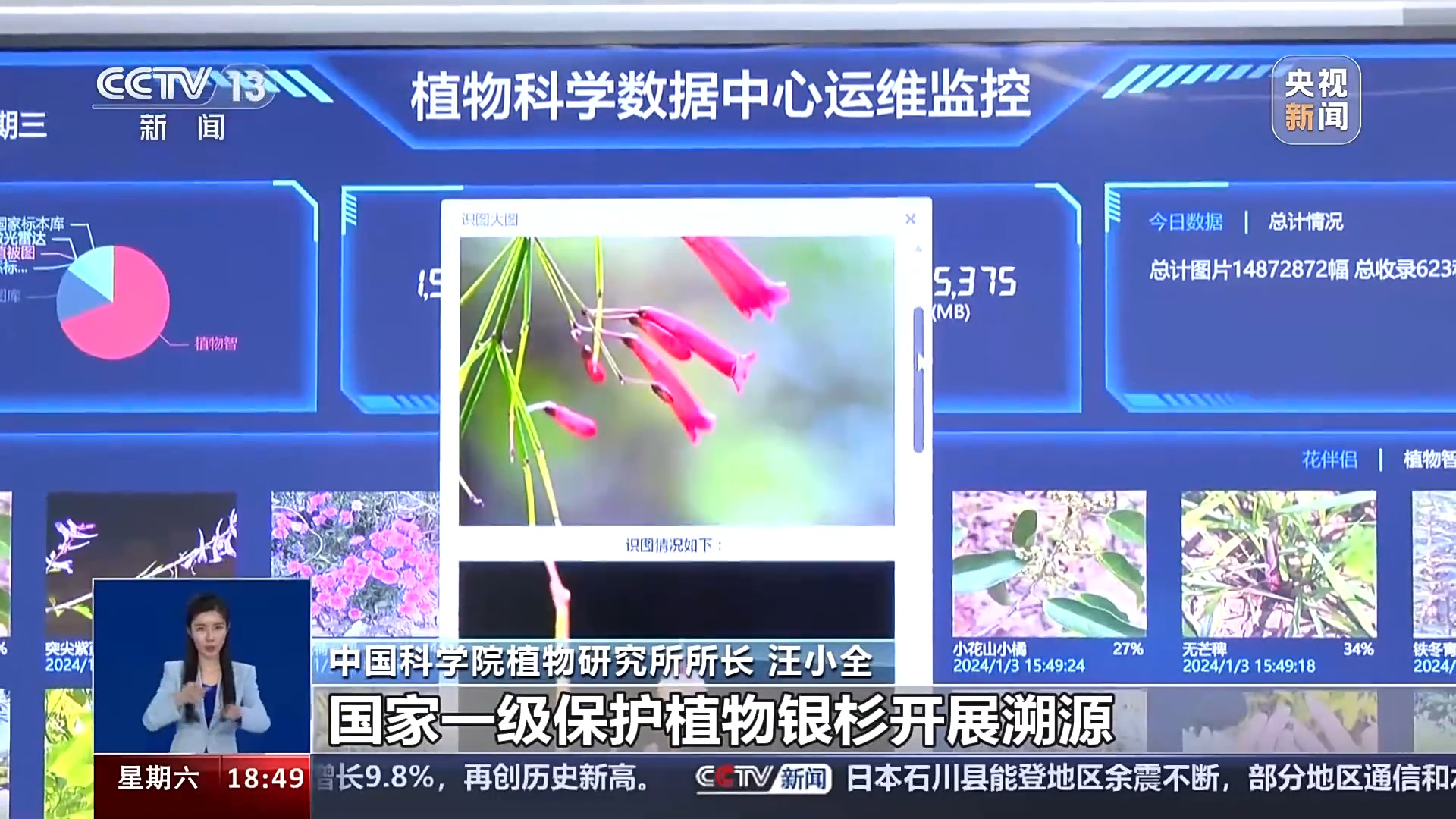 一问到底丨国家植物园批复设立满两年 成绩单来啦!