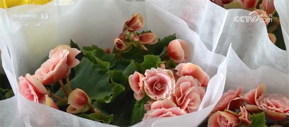 消费“旺起来” 百姓“乐起来” 年货市场临近春节“热”起来