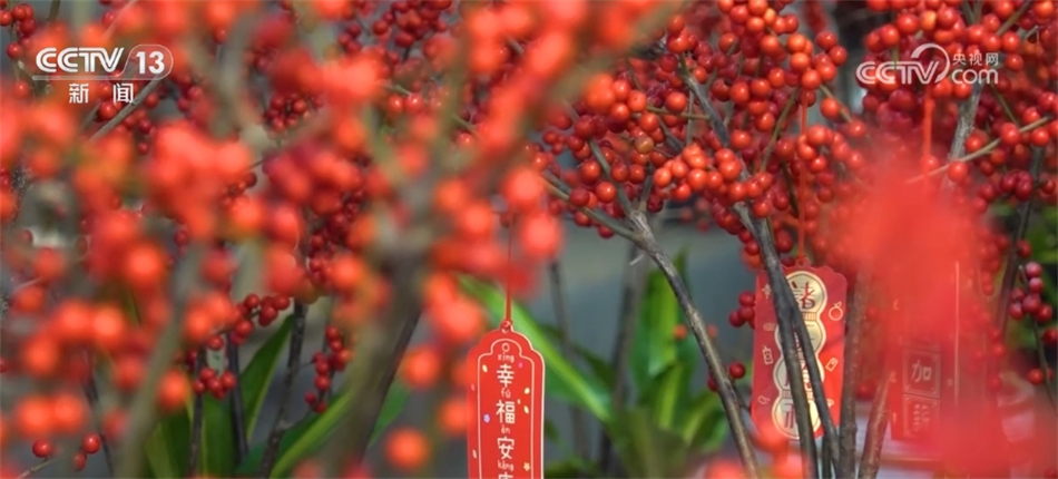 消费“旺起来” 百姓“乐起来” 年货市场临近春节“热”起来