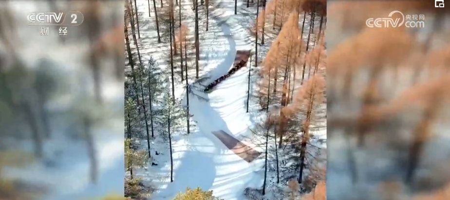 “冷”冰雪盘活“热”经济 “冰雪经济”上扬打开城市发展新窗口