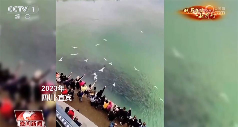 【我与国家一起前行】长江：从“休养生息”奔向“生生不息”