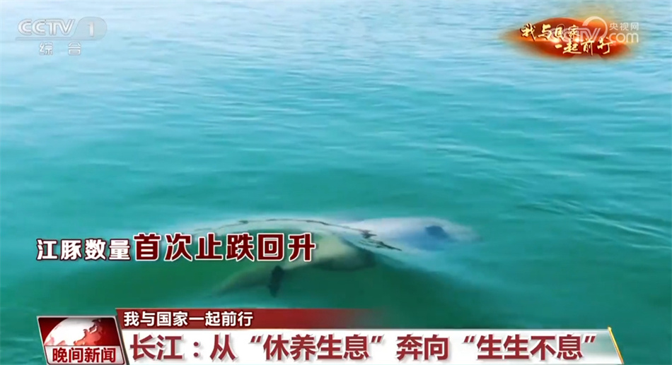 【我与国家一起前行】长江：从“休养生息”奔向“生生不息”