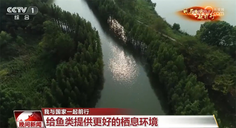 【我与国家一起前行】长江：从“休养生息”奔向“生生不息”