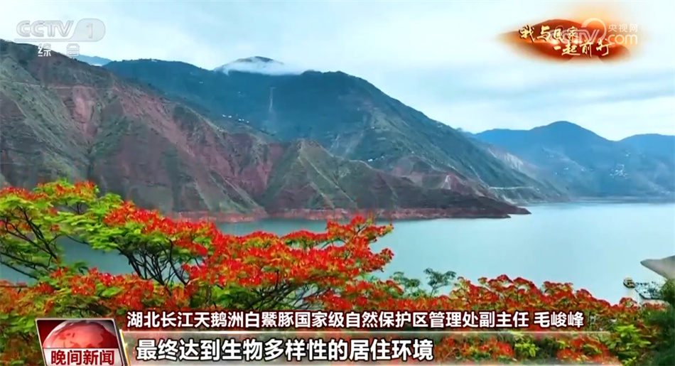 【我与国家一起前行】长江：从“休养生息”奔向“生生不息”