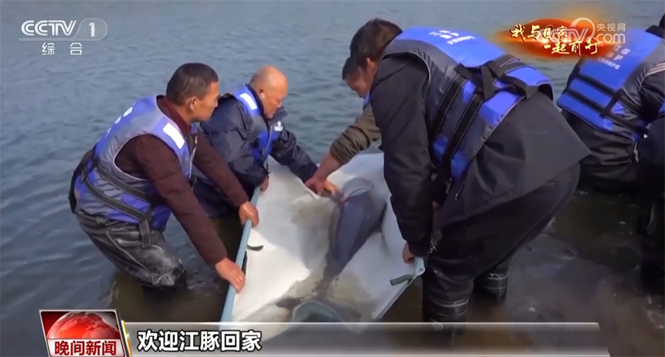 【我与国家一起前行】长江：从“休养生息”奔向“生生不息”