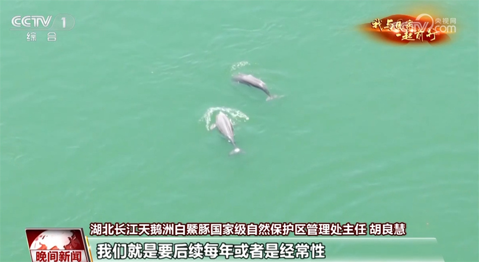 【我与国家一起前行】长江：从“休养生息”奔向“生生不息”