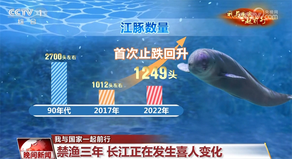 【我与国家一起前行】长江：从“休养生息”奔向“生生不息”
