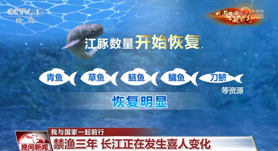 【我与国家一起前行】长江：从“休养生息”奔向“生生不息”
