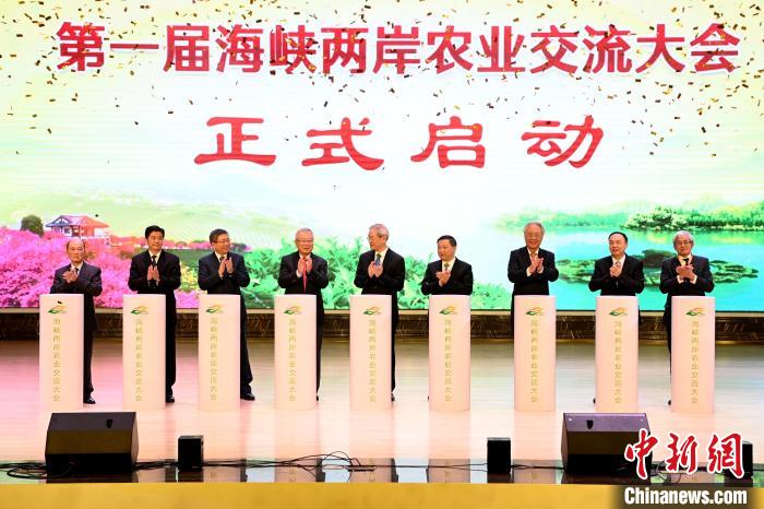 （台海观澜）建设两岸融合发展示范区：“客家祖地”龙岩有何可为？
