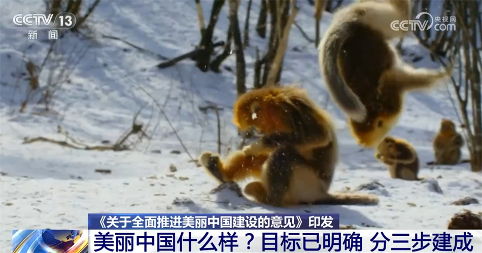 美丽中国什么样?怎么建?“三个阶段+七大重点领域”擘画美好未来