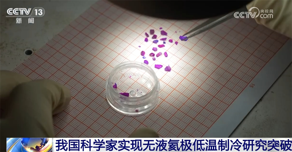 多领域齐头并进汇聚蓬勃生机 中国经济“开门红”带来融融暖意