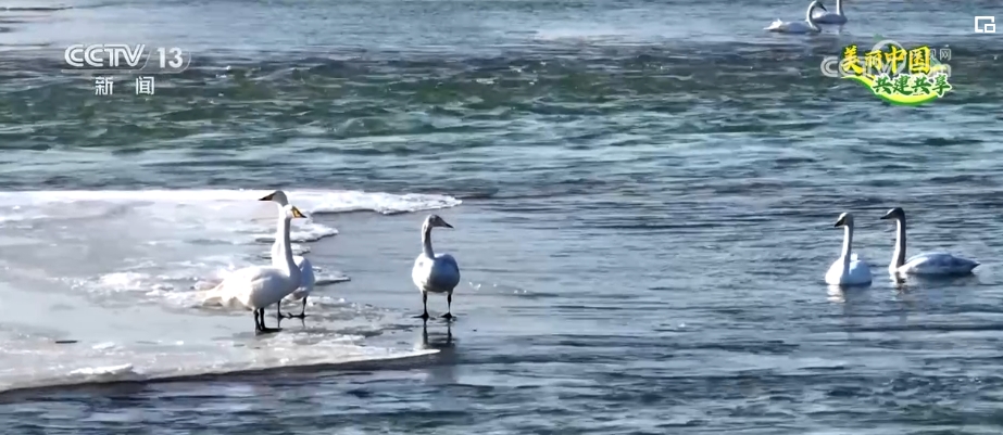 候鸟翔集、河林入城、串园连趣……群众享受更多蓝天白云、绿水青山