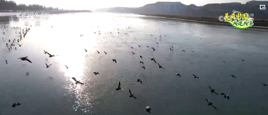 候鸟翔集、河林入城、串园连趣……群众享受更多蓝天白云、绿水青山