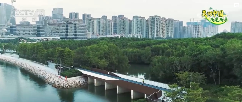 候鸟翔集、河林入城、串园连趣……群众享受更多蓝天白云、绿水青山