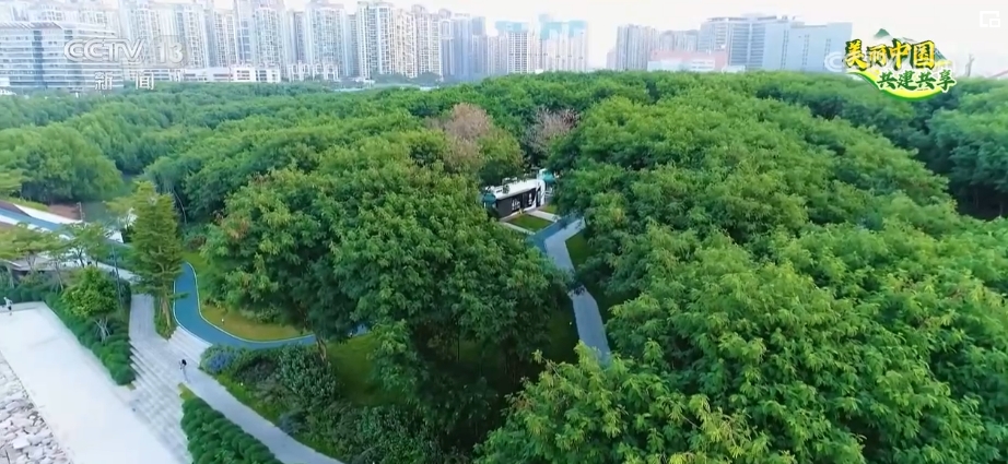 候鸟翔集、河林入城、串园连趣……群众享受更多蓝天白云、绿水青山