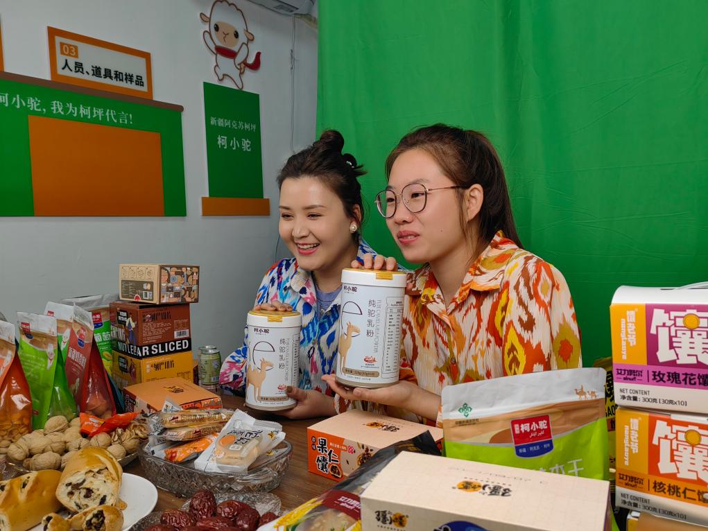 新疆柯坪:戈壁滩“驼”起绿色富民产业