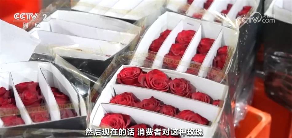 多地花市“花团锦簇”人气旺 姹紫嫣红中涌动浓浓春意