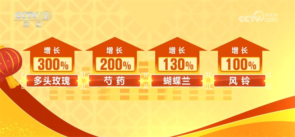 多地花市“花团锦簇”人气旺 姹紫嫣红中涌动浓浓春意