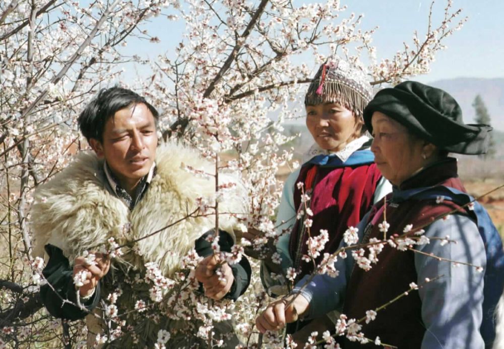 时光相册 | 年味记忆：拜年