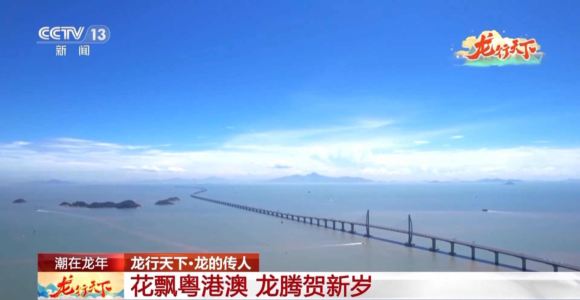 花市、舞龙、巡游……粤港澳特色年味 腾飞着属于中国人的龙马精神