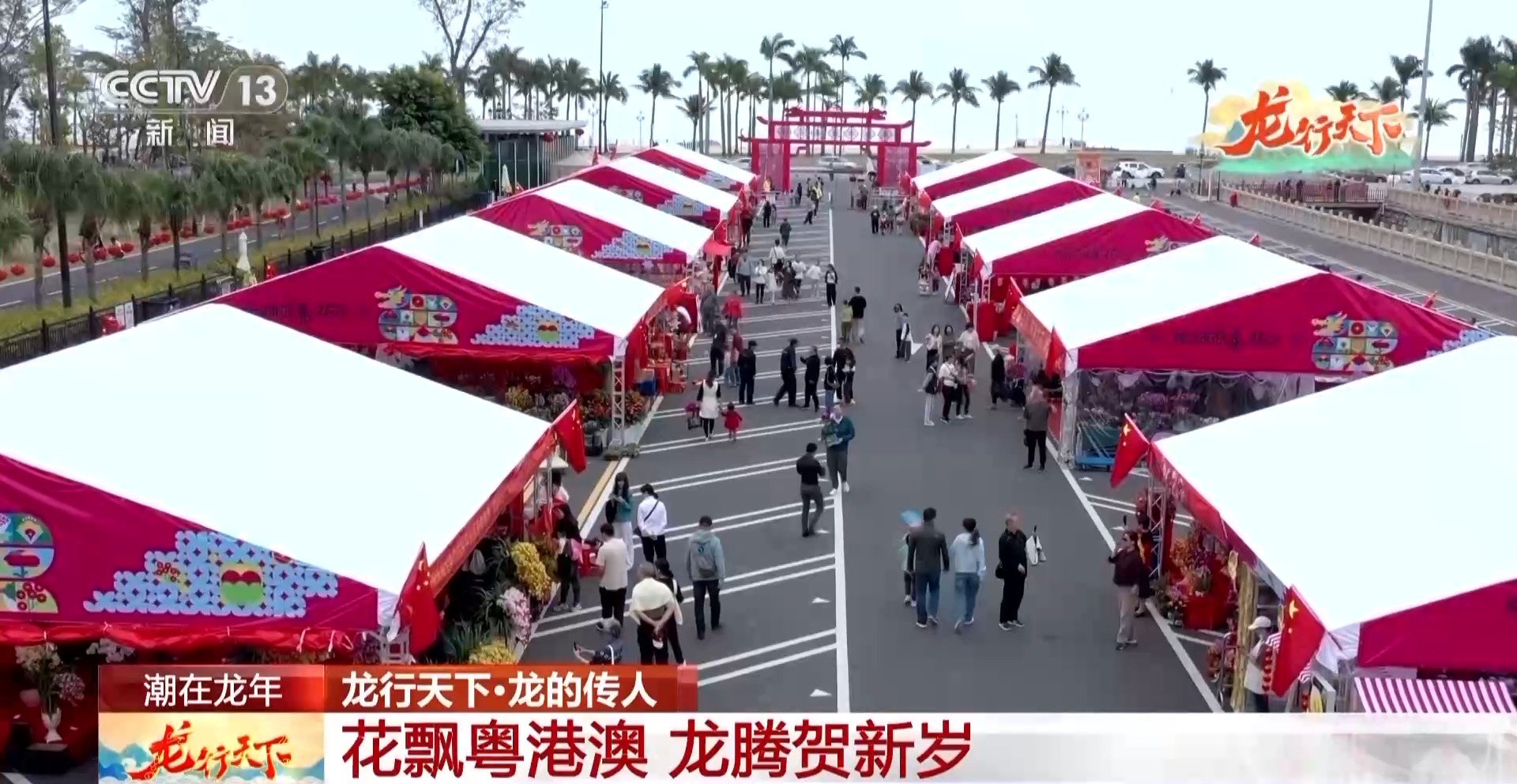 花市、舞龙、巡游……粤港澳特色年味 腾飞着属于中国人的龙马精神