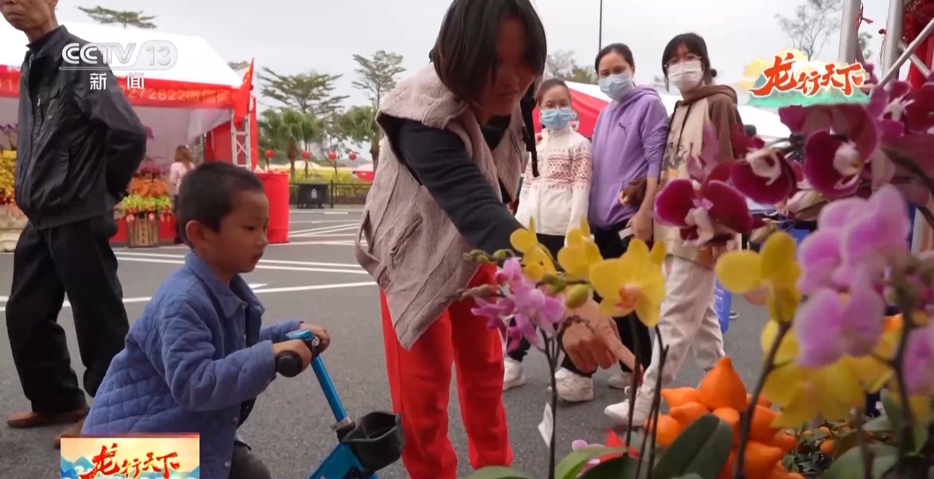 花市、舞龙、巡游……粤港澳特色年味 腾飞着属于中国人的龙马精神