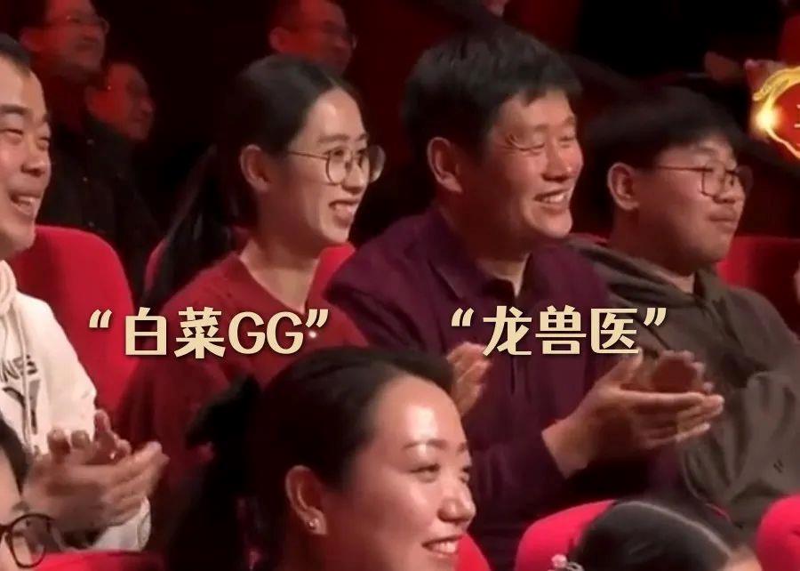 闪闪发光的普通人 春晚等到了你