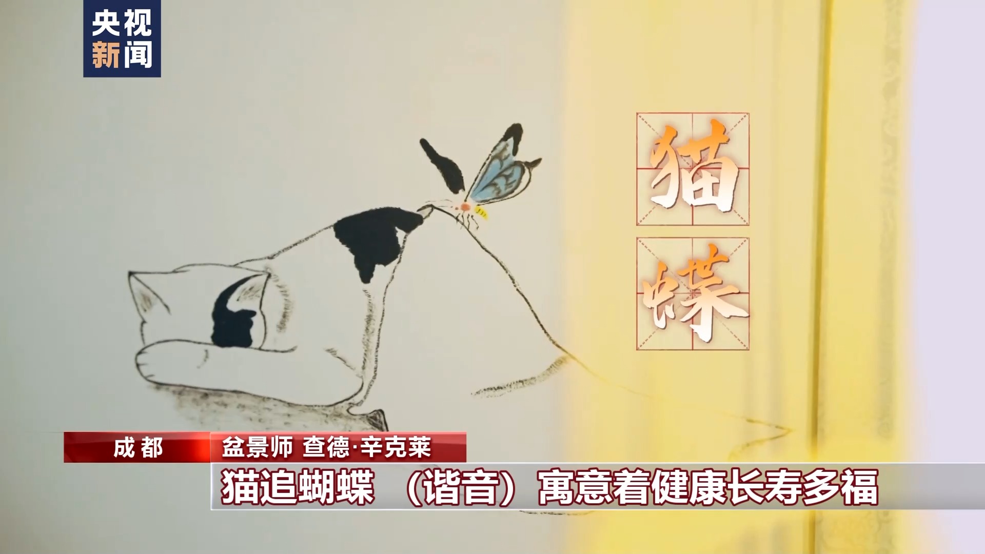 爱上中国风丨“盆景迷”查德：与“景”相伴每一天都是美好