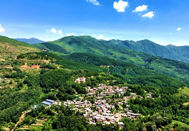 新春走基层|打开就业新空间 新岗位上憧憬多