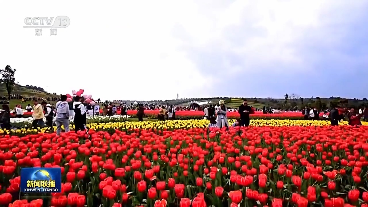 舞龙舞狮打铁花……这个春节各地纷纷秀“绝活”