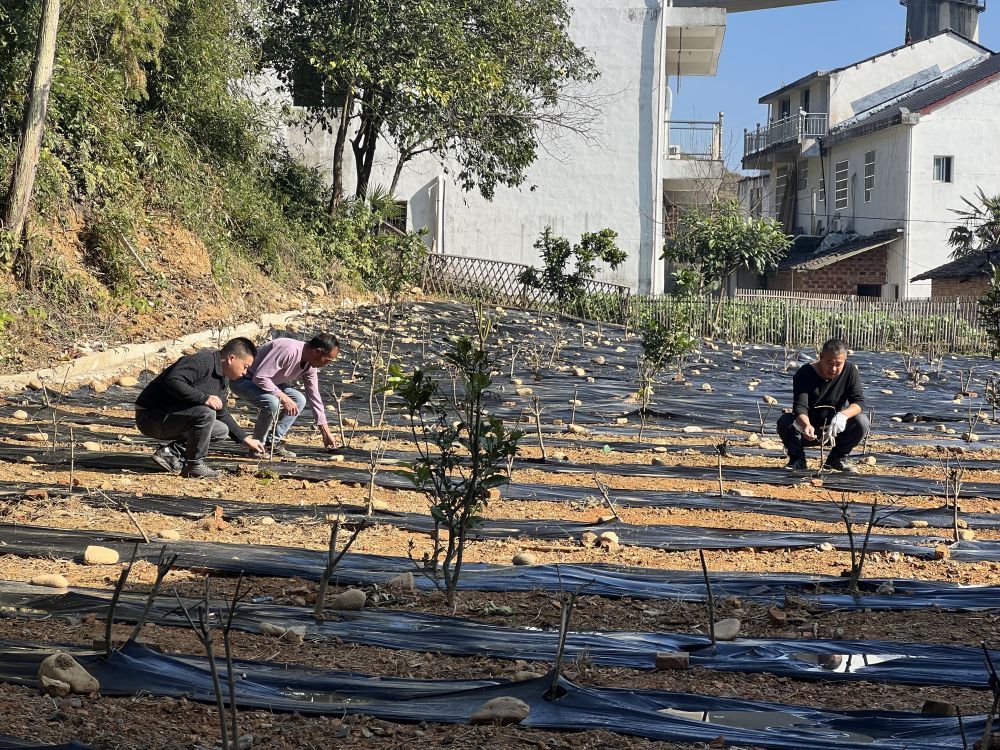 新华全媒+|风雪中守护民生“温度”——多地积极应对龙年首场寒潮见闻