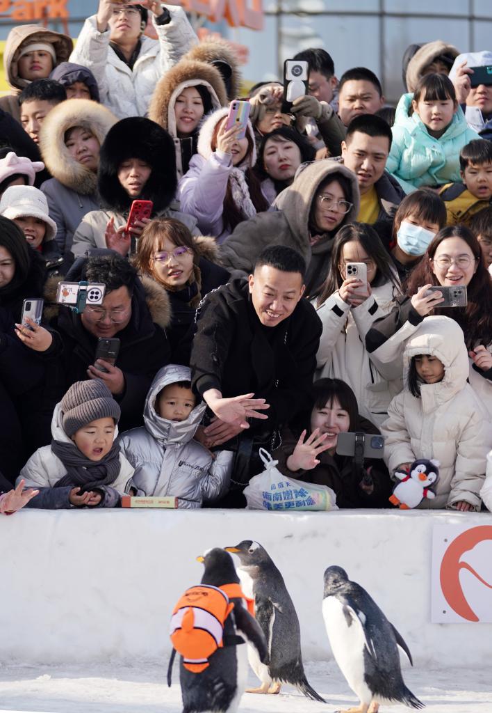 哈尔滨冰雪游再创新高 春节假期8天接待游客超千万