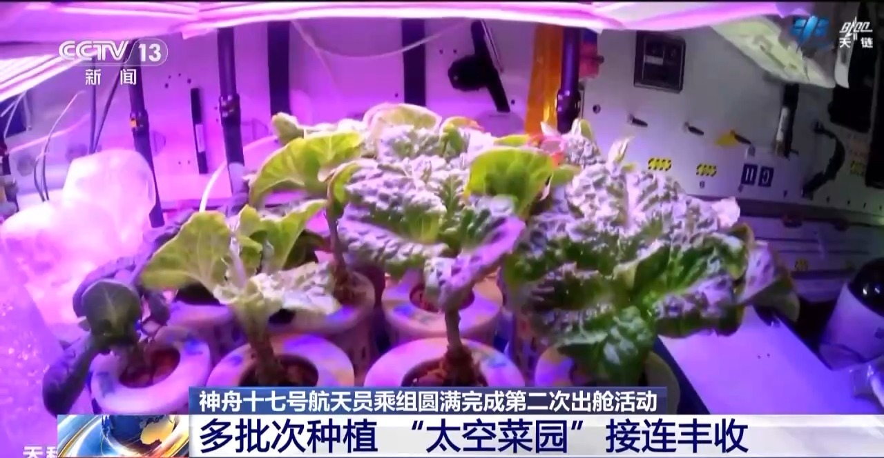 首次完成舱外维修任务！神舟十七号航天员乘组圆满完成第二次出舱活动
