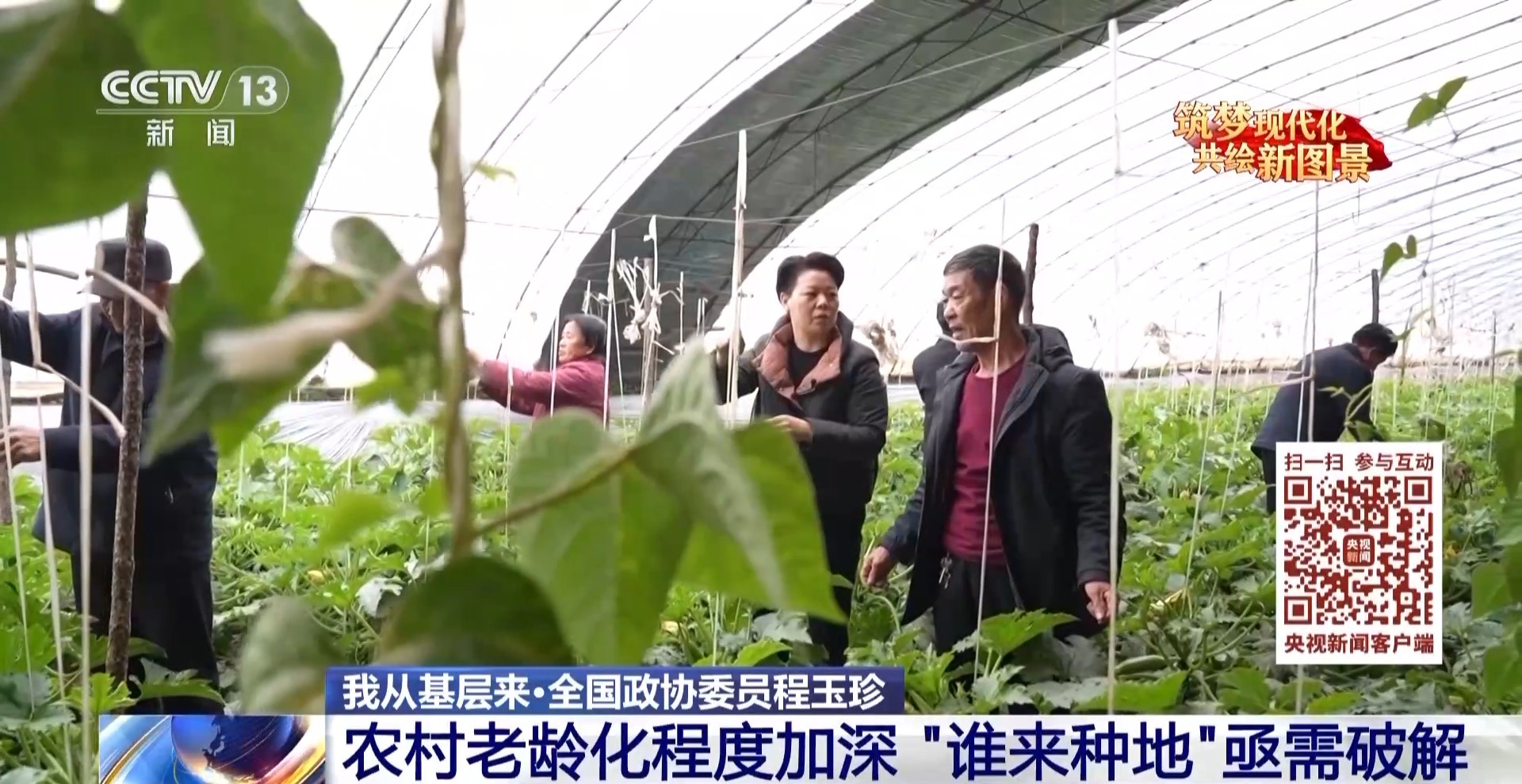 我从基层来丨破解“谁来种地”难题 她带领乡亲们走好小康路