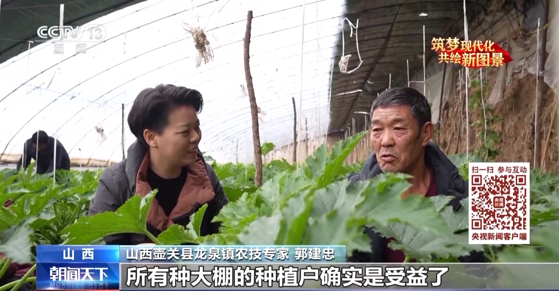 我从基层来丨破解“谁来种地”难题 她带领乡亲们走好小康路