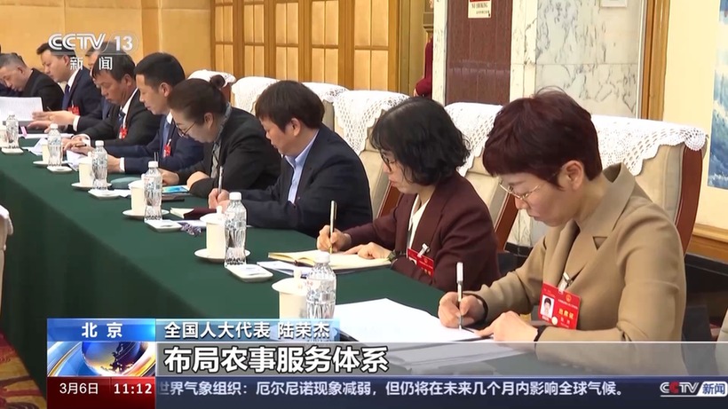 两会同期声丨农民养老、农村电商……听代表们讲讲“家乡事”