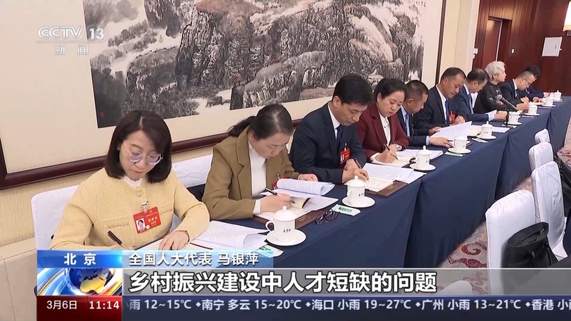 两会同期声丨农民养老、农村电商……听代表们讲讲“家乡事”