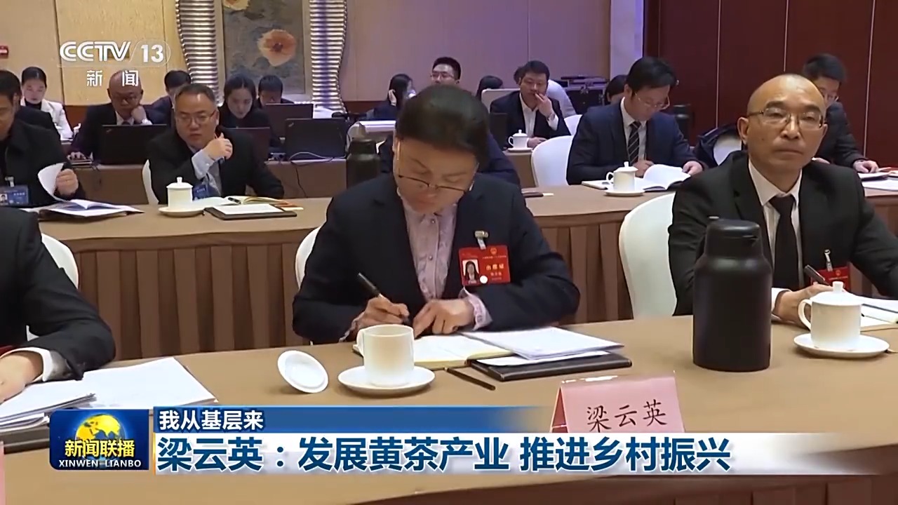 我从基层来丨大别山的茶产业如何破圈创新？村支书梁云英提出了新建议