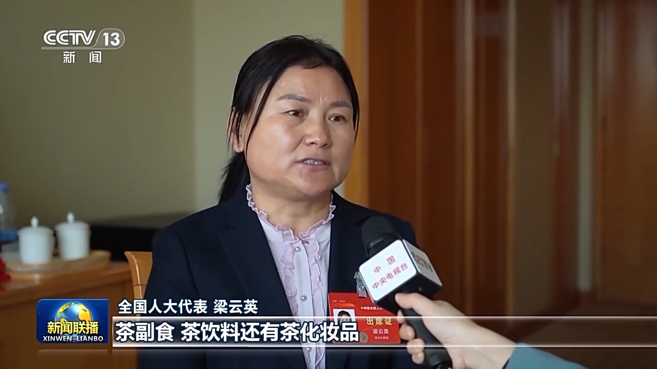 我从基层来丨大别山的茶产业如何破圈创新？村支书梁云英提出了新建议
