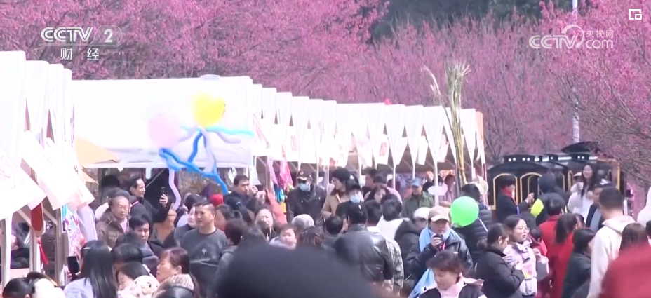 不止于“走马观花”，“花经济”绽放 打开多元经济融合发展大格局