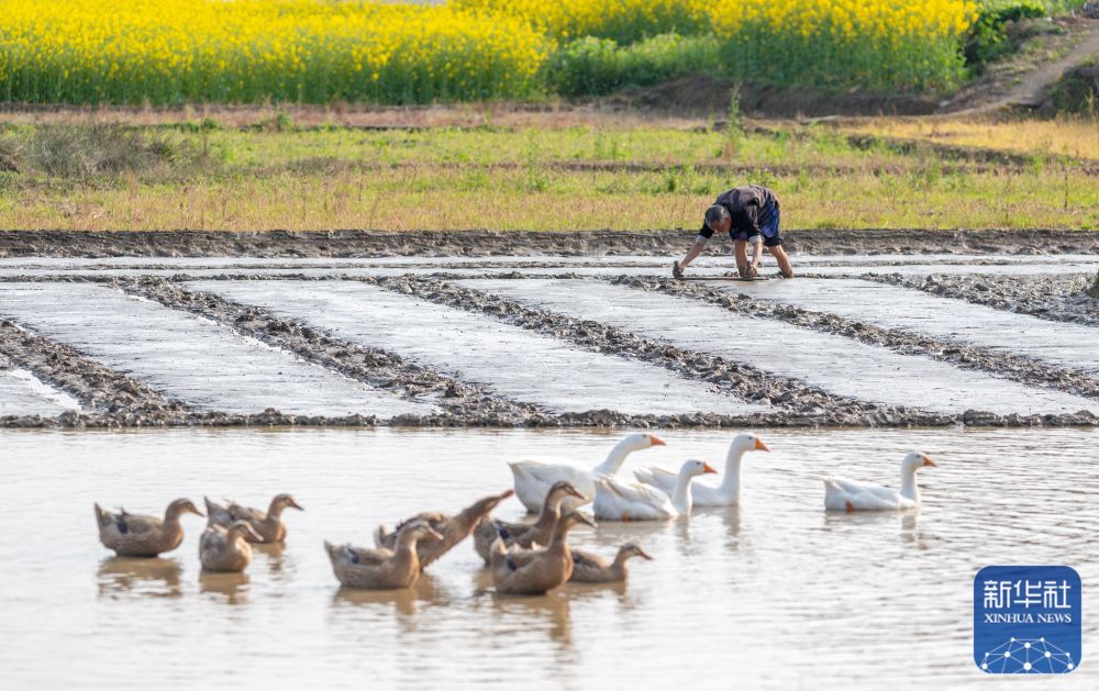 春分将至农事忙